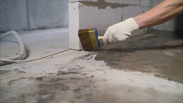 24/7 Emergency Exterior Waterproofing experts in Mulvane, KS